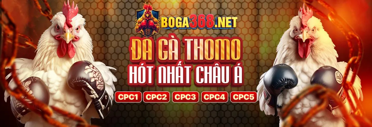 Lý Do Chọn 888win
